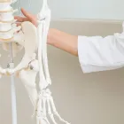 椎間板ヘルニア